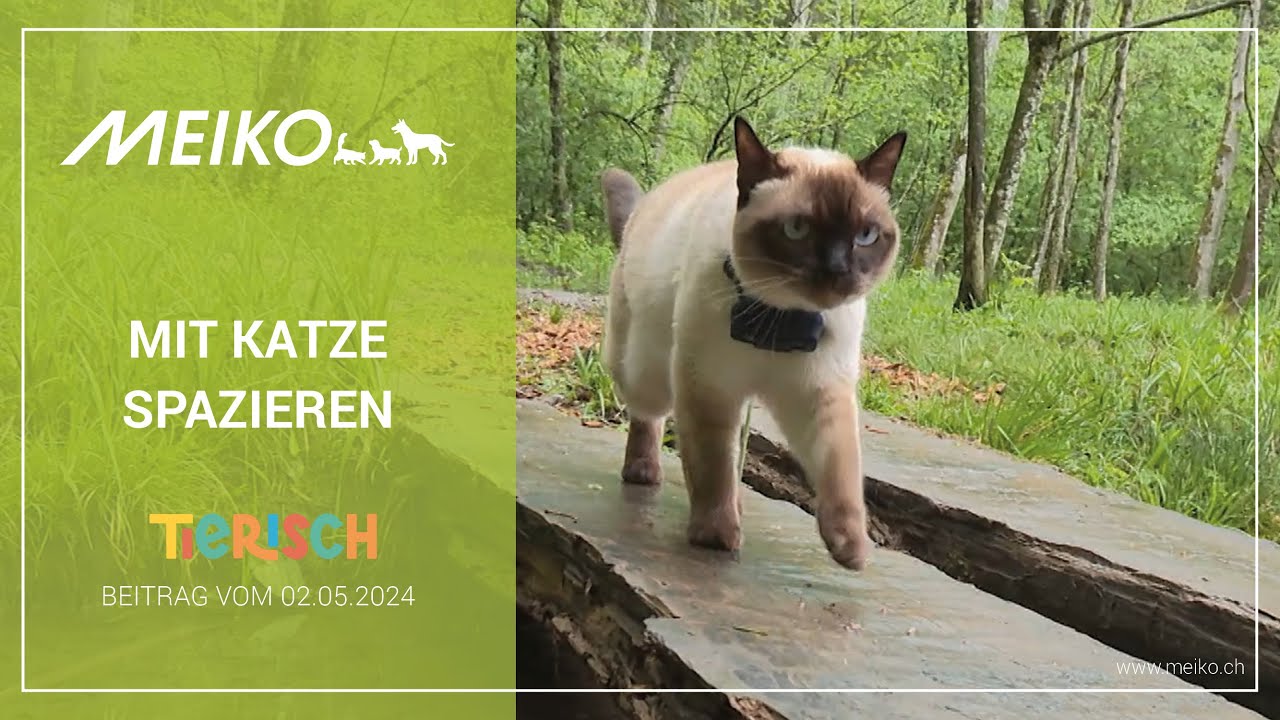Mit Katze spazieren – tierisch Beitrag vom 02.05.2024