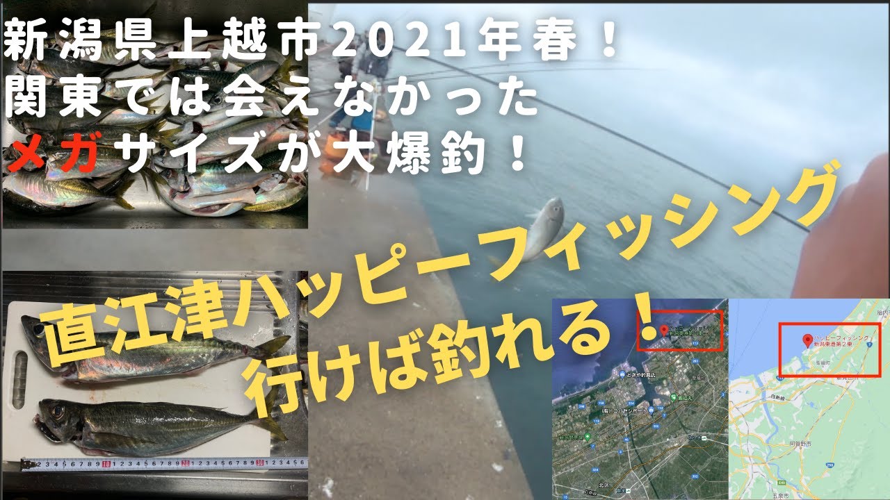 【尺アジ・メガサバが大爆釣！】新潟上越釣り2021年GW。直江津ハッピーフィッシング
