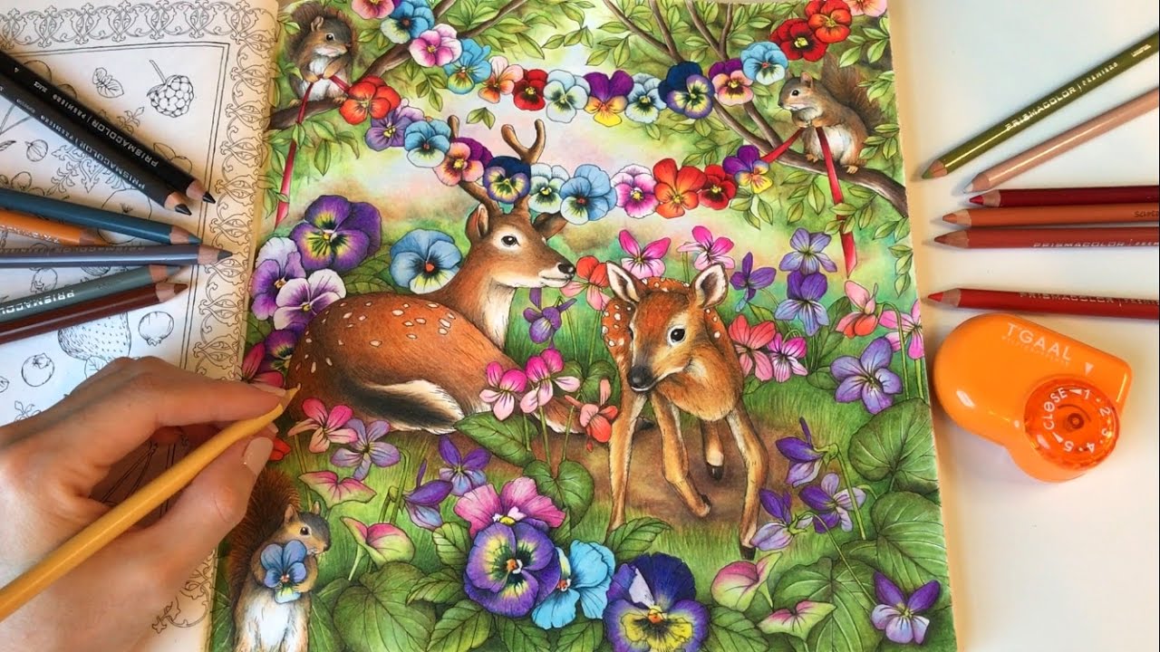 Menuet de bonheur - Part 3 | How I Color Cute Animals With Colored Pencils