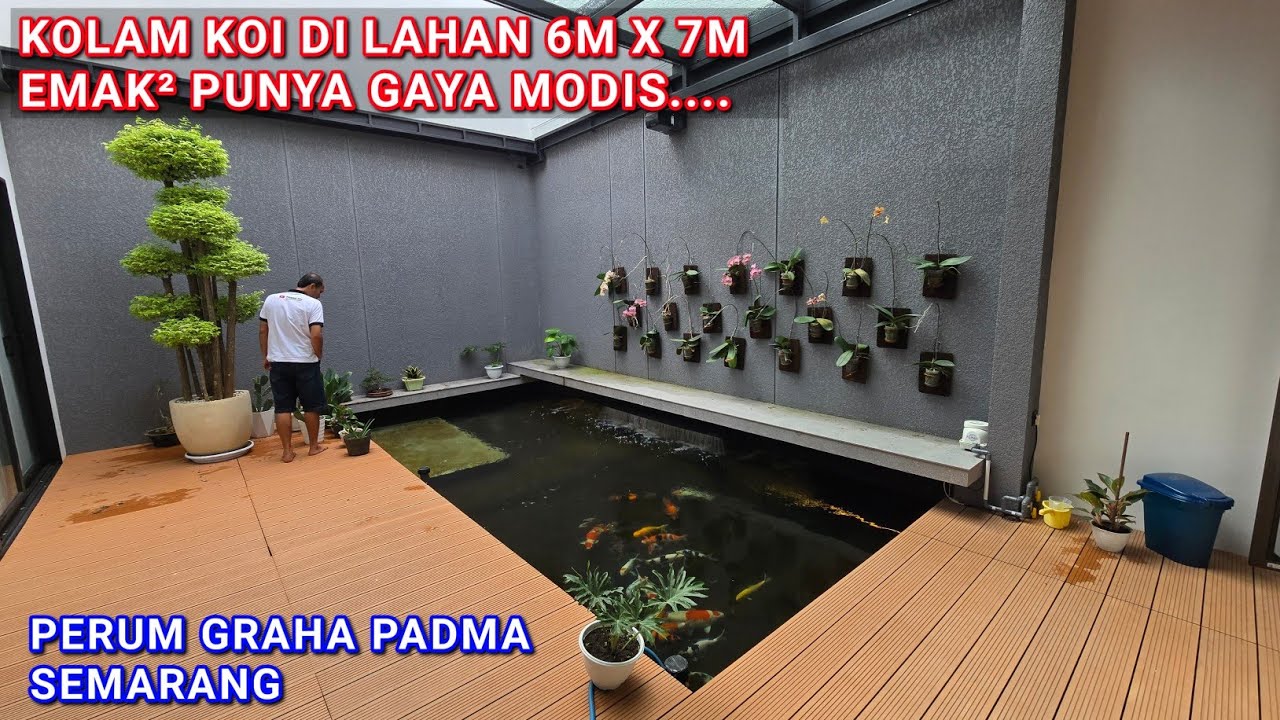 KOLAM KOI ELEGAN DI LAHAN 6M X 7M | PERUM GRAHA PADMA SEMARANG