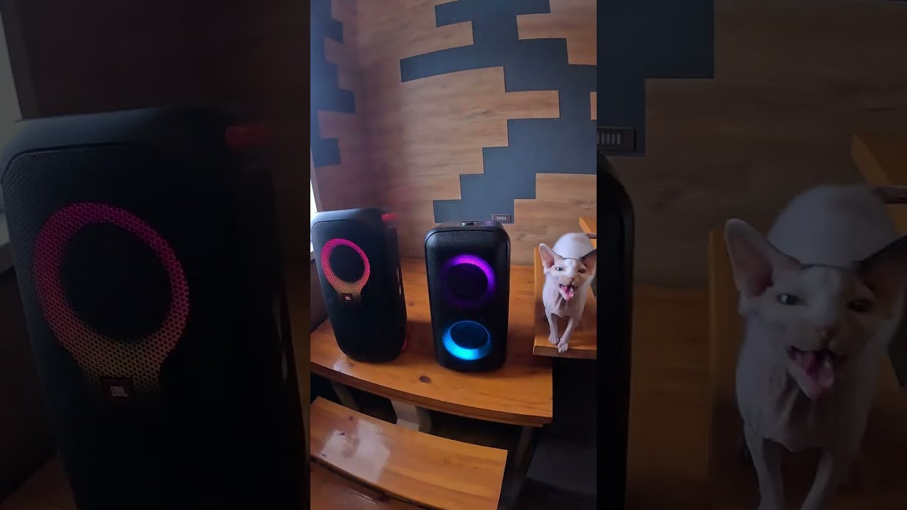 fiero против Jbl cравнение .