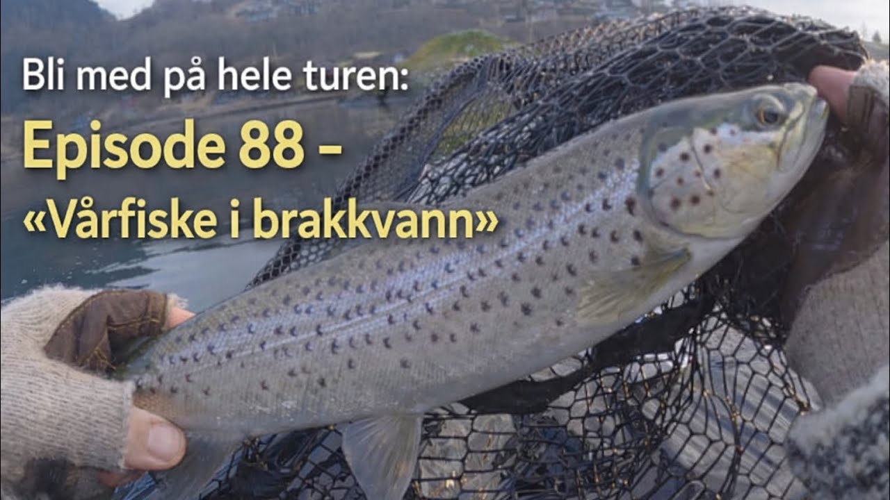 Bli med på hele turen: Episode 88 - «Vårfiske i brakkvann»