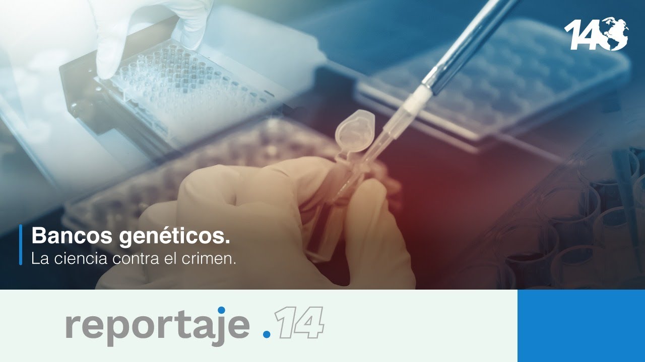 Reportaje 14 | Bancos genéticos. La ciencia contra el crimen