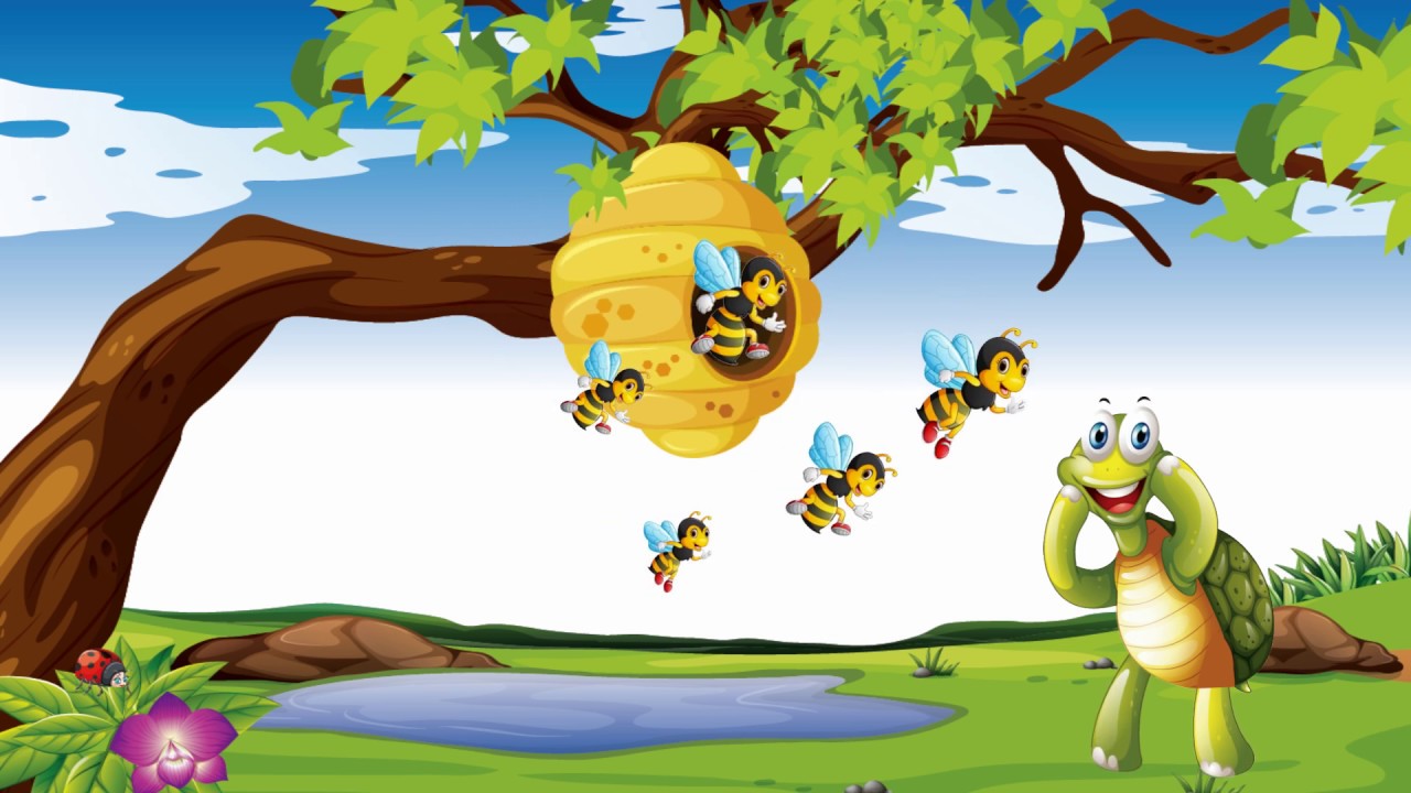 Truyện kể mầm non: R&ugrave;a con t&igrave;m nh&agrave; | Storybook Preschool:Baby Turtle Find A Home