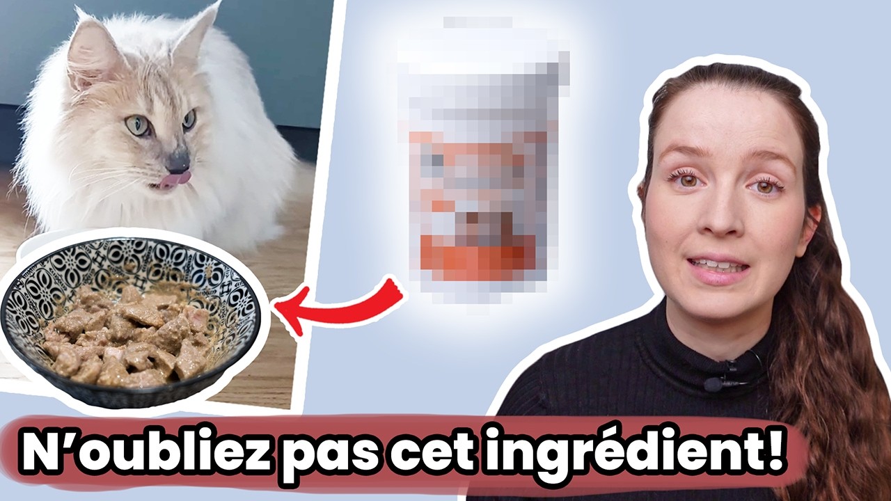 L’indispensable pour une ration ménagère saine et équilibrée !