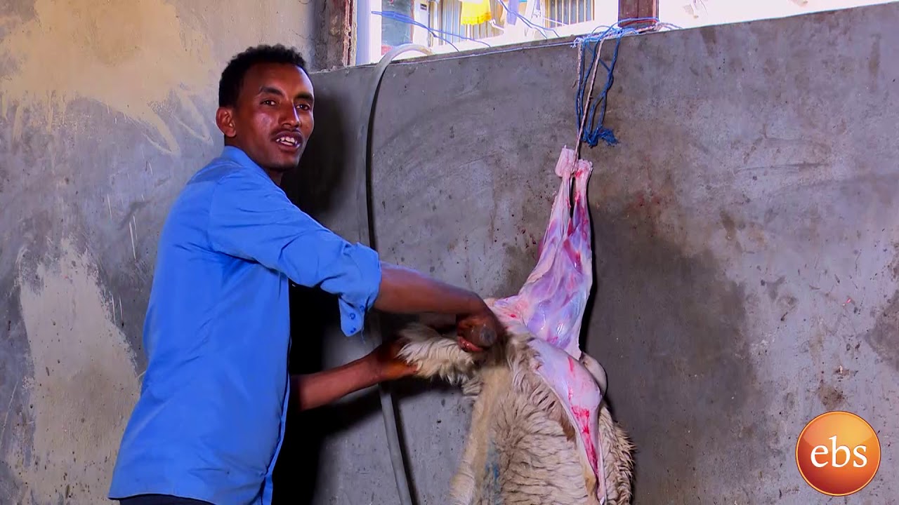 ዉሎ ከፈጣኑ የበግ እና ፍየል ገፋፊዉ ታታሪ ወጣት ጋር ከእሁድን በኢቢኤስ