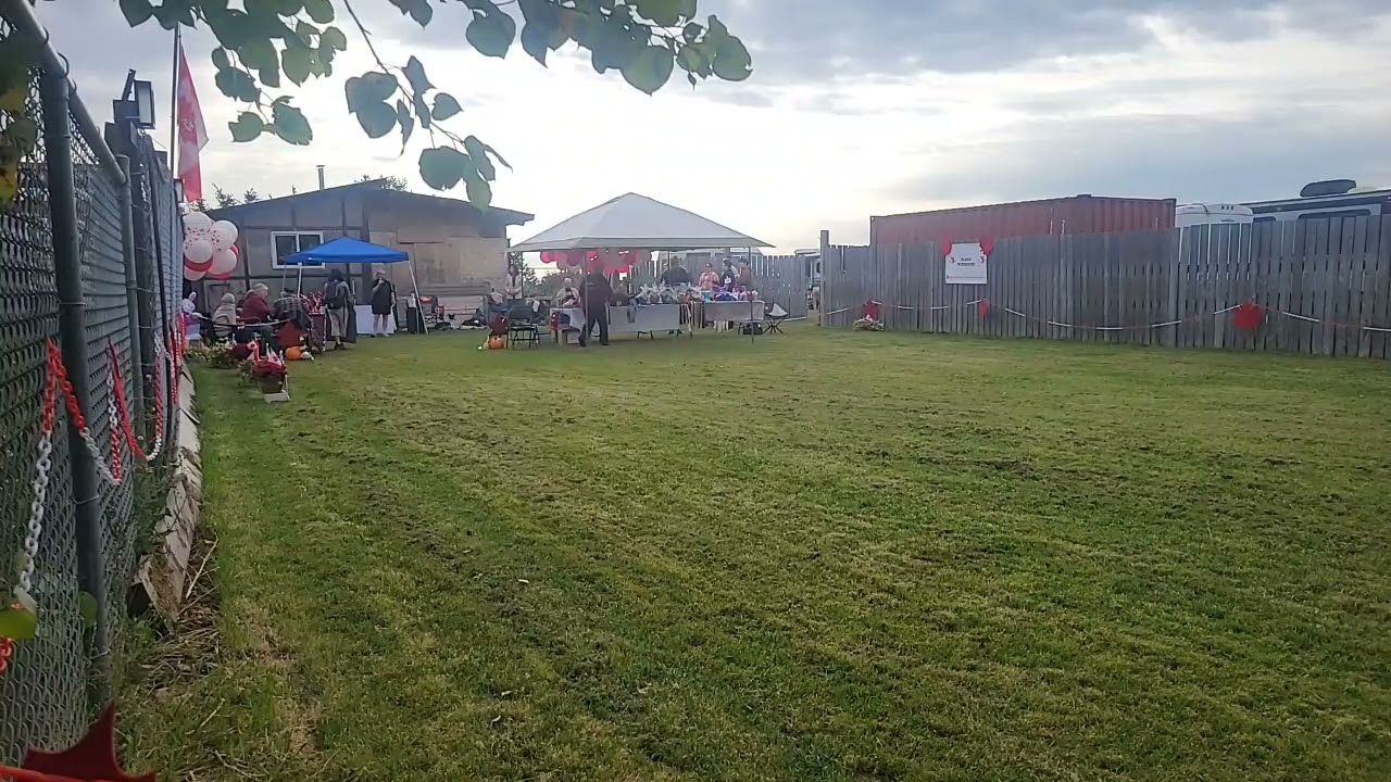 20240914 CSWS/ISWS Canadian Silken Windhound National Specialty Fall Frolic Show 1