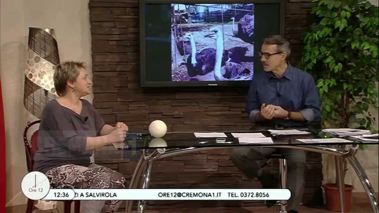 Allevamento di Struzzi 
