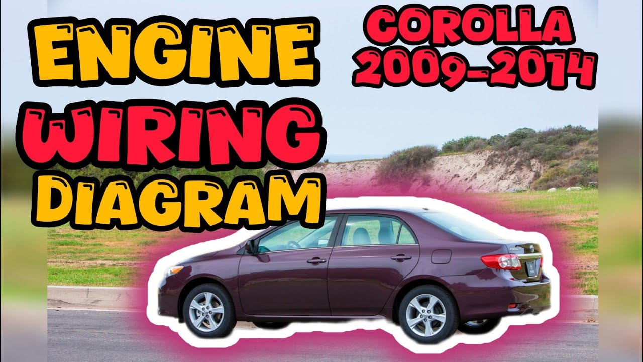 Toyota Corolla Engine Wiring Diagram All Data XLI GLI  2009-2014