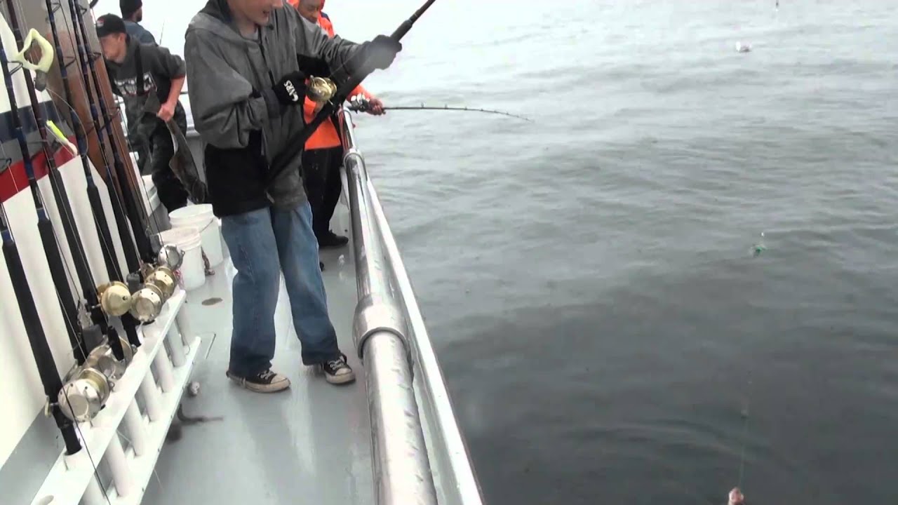 Silver Salmon (Coho) and Halibut Fishing in Seward Alaska - Saltwater Safari Company Charter