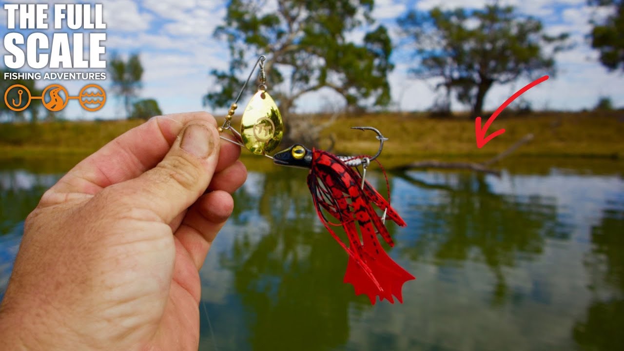 How To Catch Golden Perch Fishing River Murray | The Full Scale