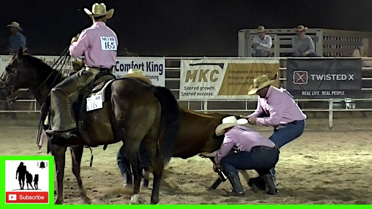 Wild Cow Milking - 2020 Meade Ranch Rodeo | Friday