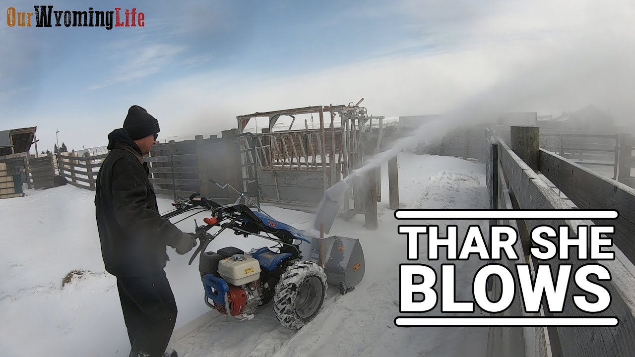 The BCS Snow Thrower / Blower