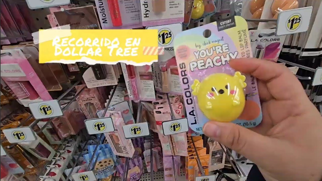 Recorrido en Dollar Tree/Enero 2026
