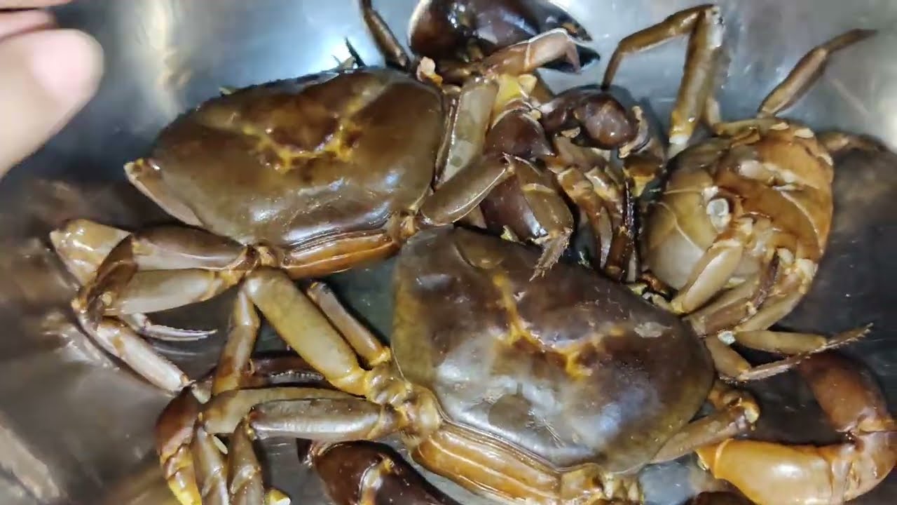 केकड़ा की रेसिपी ll Crab recipe ll