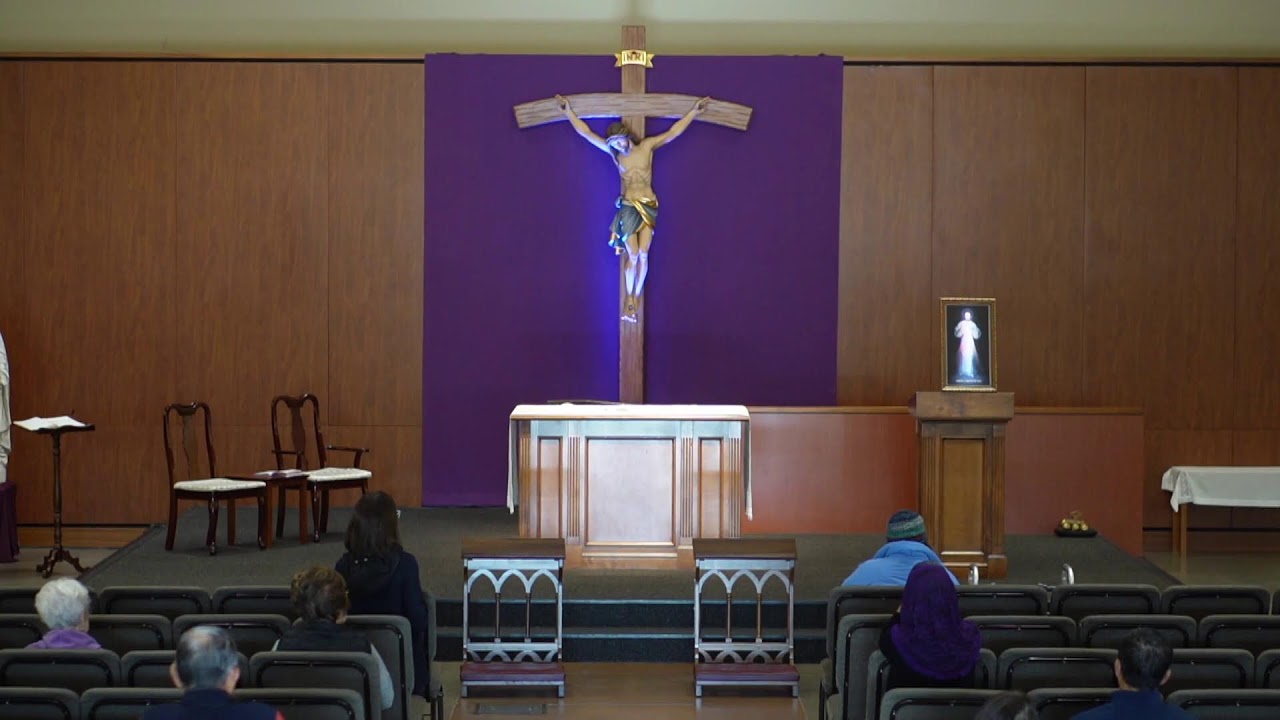 STM Livestream: 8AM Thursday Mass