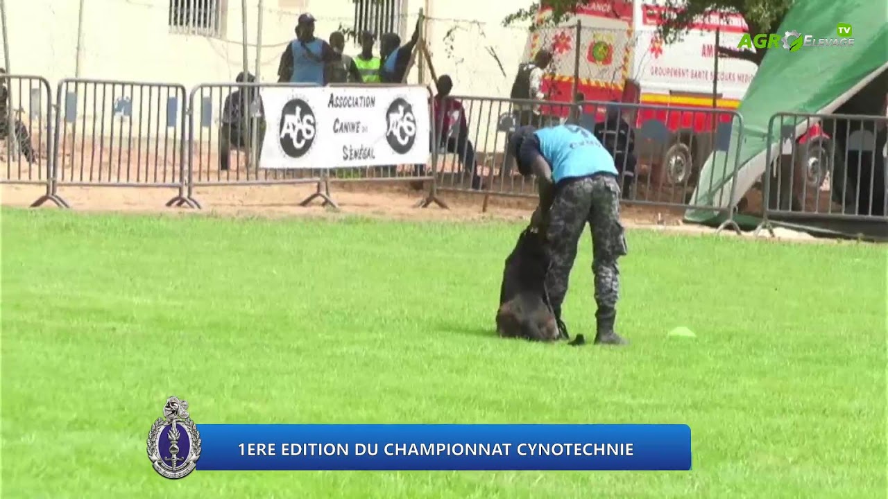 1ERE EDITION DU CHAMPIONNAT CYNOTECHNIQUE