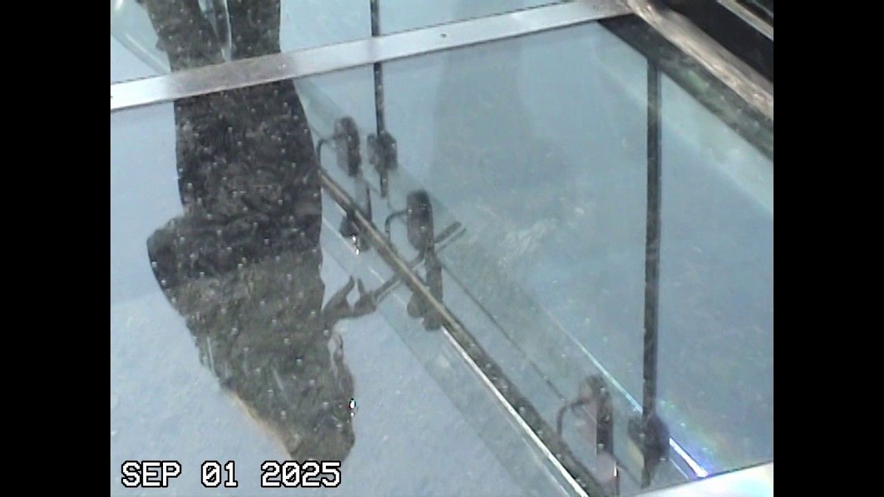camcorder vol  3+