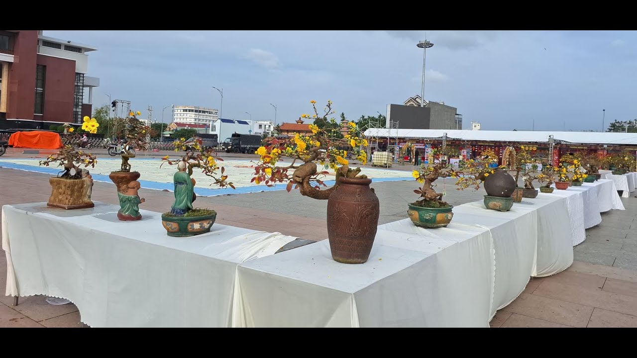 LỄ HỘI MAI VÀNG AN NHƠN LẦN THỨ HAI