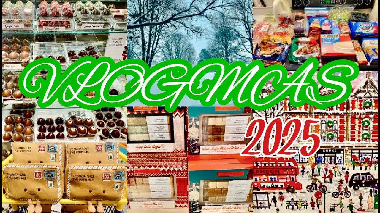 VLOGMAS DAY 15 // SNOW STORM | Shop With Me At My Favorite Store : ART MART! + Grocery Haul