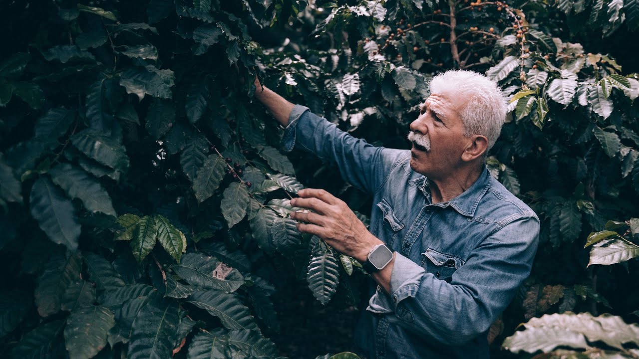 Türkiye’de yetişen ilk kahvenin hikayesi: “Grow” with Brodie Vissers