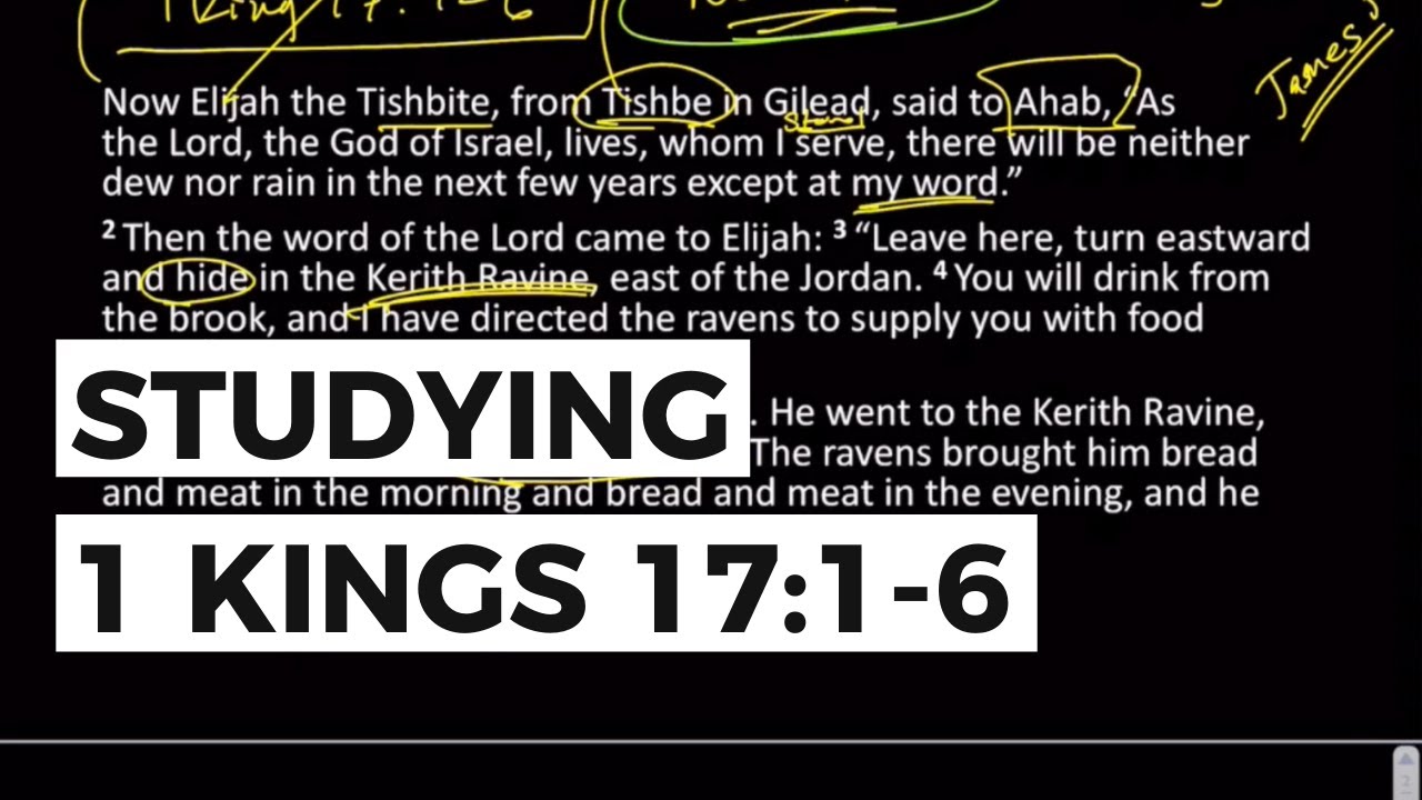Wild Growth - 1 Kings 17:1-6 | Scripture Study