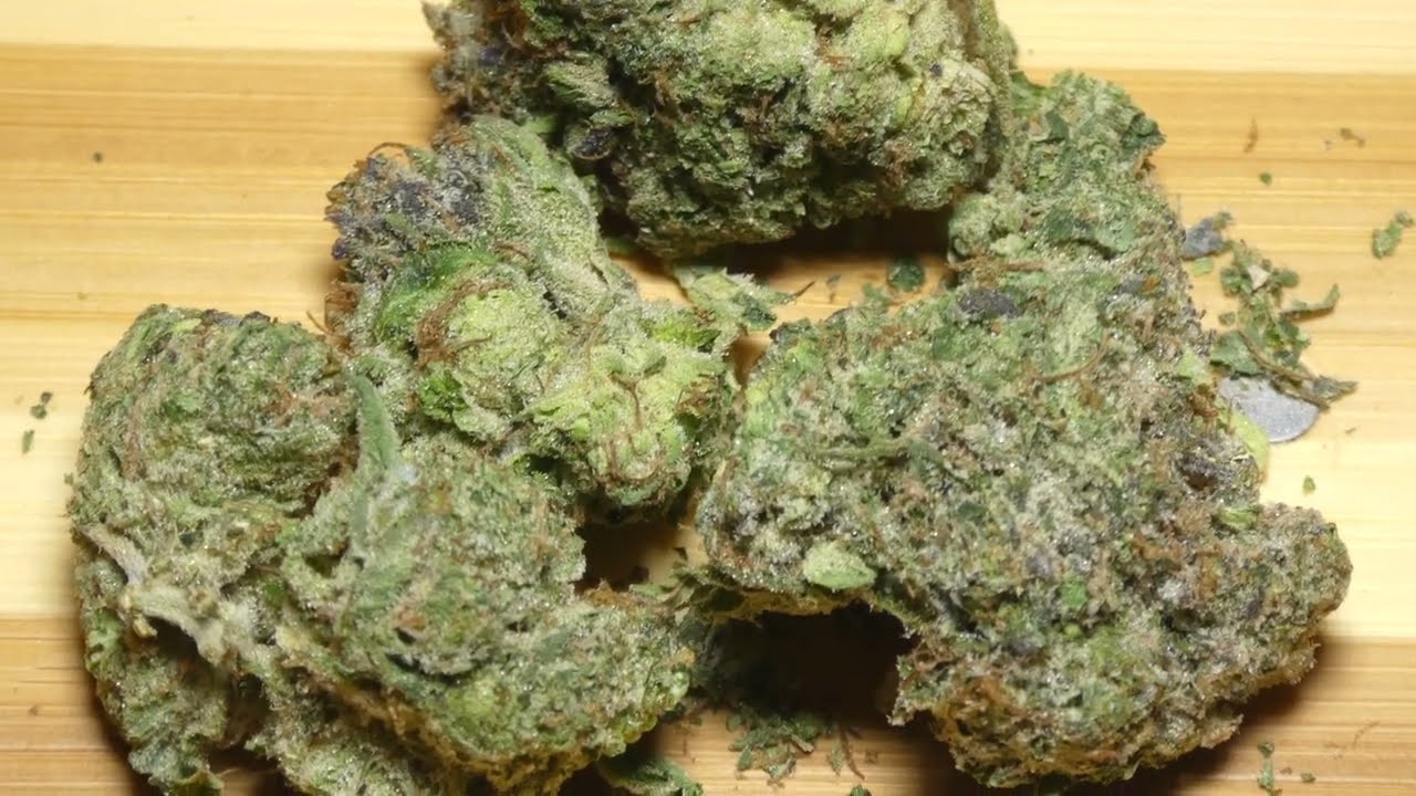 El Jefe Fr Order Bud Online