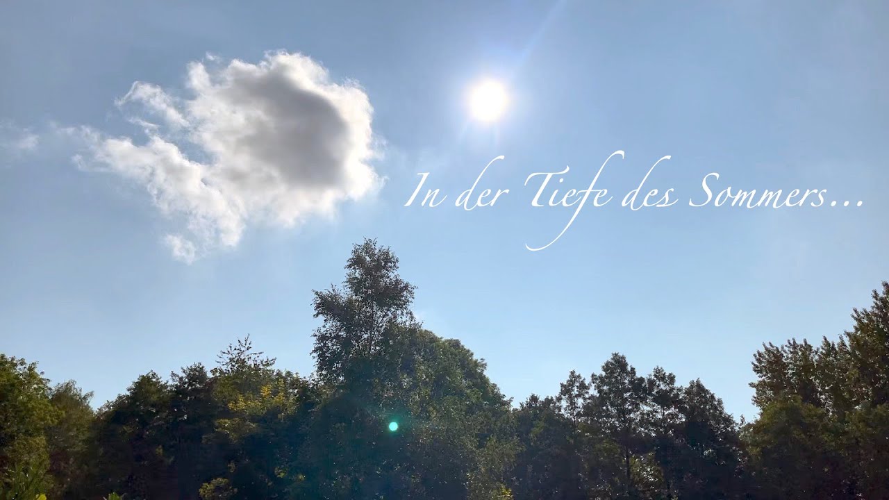 In der Tiefe des Sommers