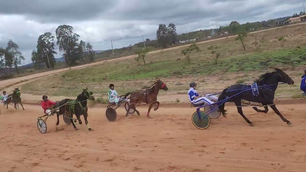 2 Grandiosa 2.26... 1 zuca 2.27... 3 sombrio ... 4 Agamora ... 5 Vitorioso 