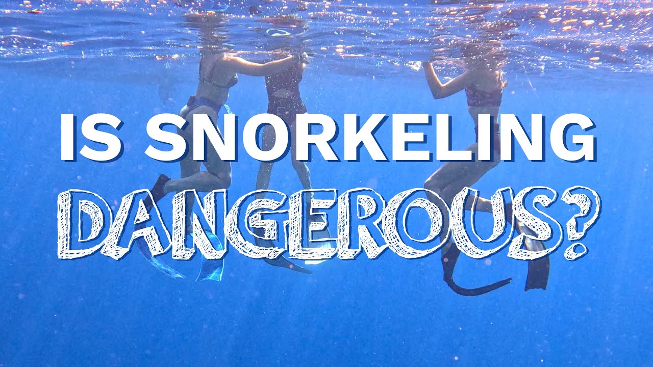 Is snorkelling dangerous? 6 life saving top tips for non swimmers from expert freedivers