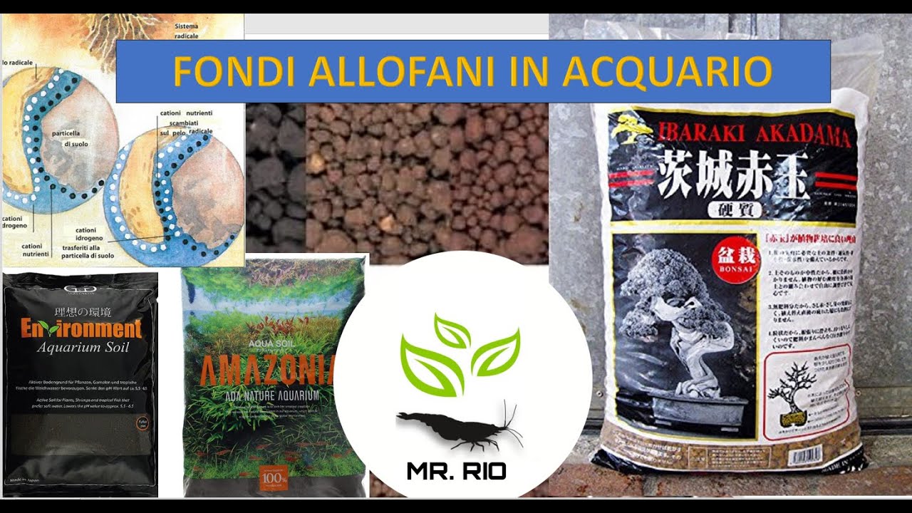 TUTTO sui fondi allofani dell'acquario, come scegliere il fondo. Parte 3