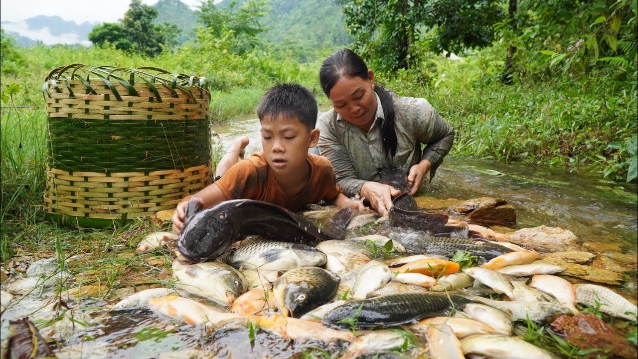 ancient fish trapping technique: unexpectedly harvested a lot of fish from a bamboo trap
