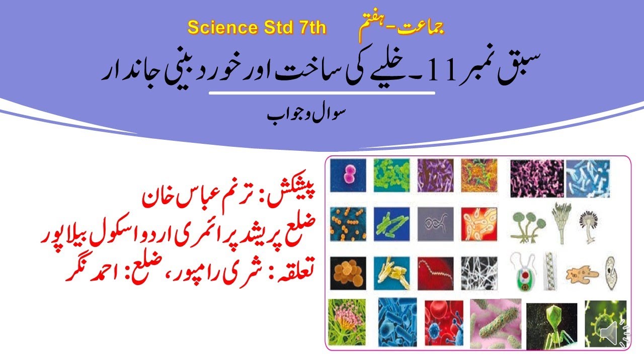 URDU Medium | Science Std. 7th | Chapter 11 | Khaliye ki saakht aur Khurdbini Jaandar | Sawal Jawab