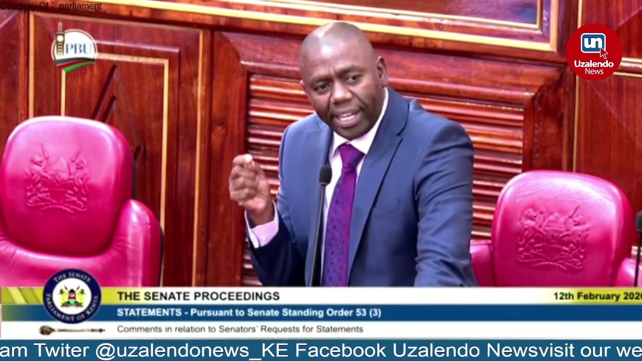 Senator Kinyua Raises Alarm Over Criminal Gangs During Protests in Kenya