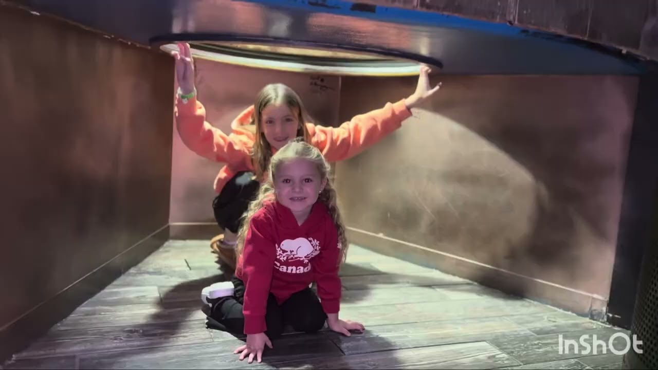 #denver #aquarium #colorado @Kiran_Mangat #aquariumfish #aquariumlife @Denver7 