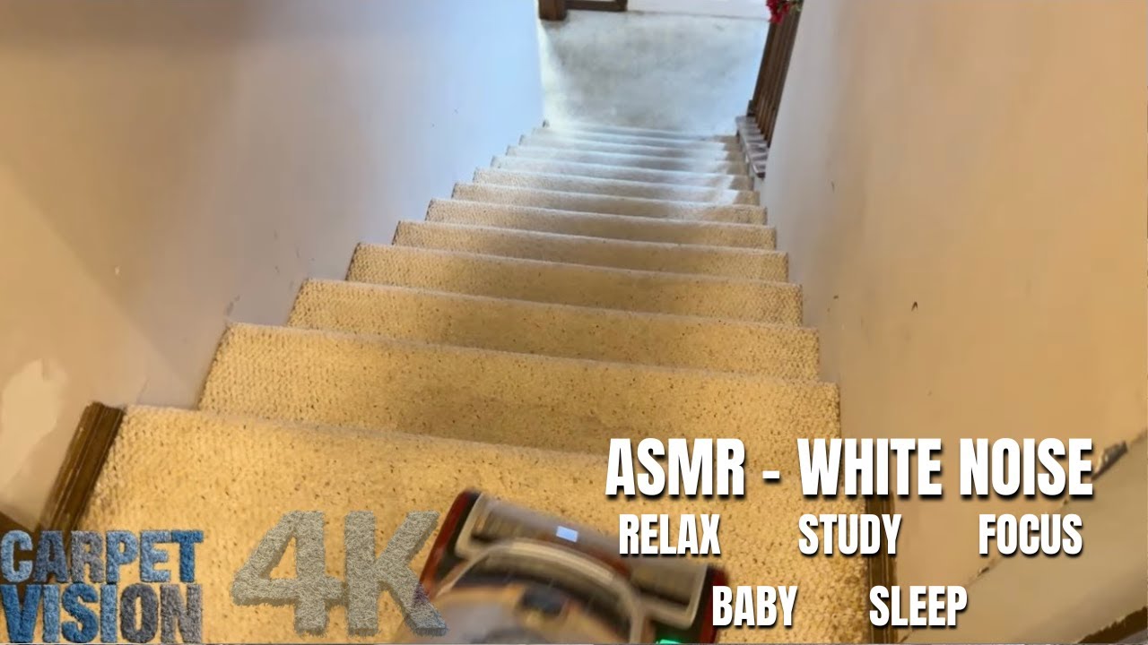 Carpet Cleaning ASMR | This Berber Was LOADED with Deep Soil (Sleep Now)