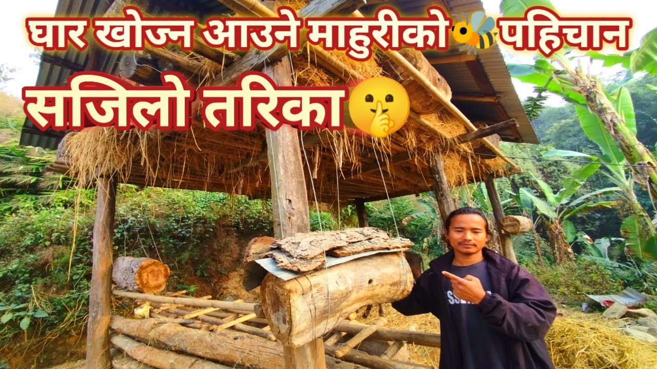 घार खोज्न आउने माहुरीको पहिचान । माहुरी पालन । mahuri palan । bee keeping
