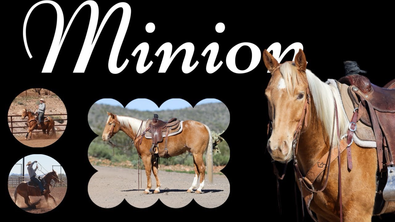 MINION • 2021 Metallic Cat Grandson 
