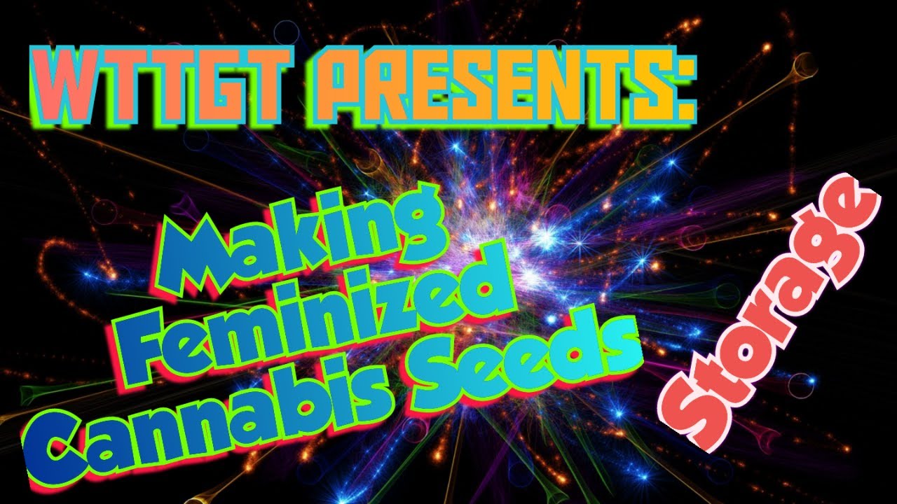 How to Store your Cannabis Seeds. Short & Long term Storage