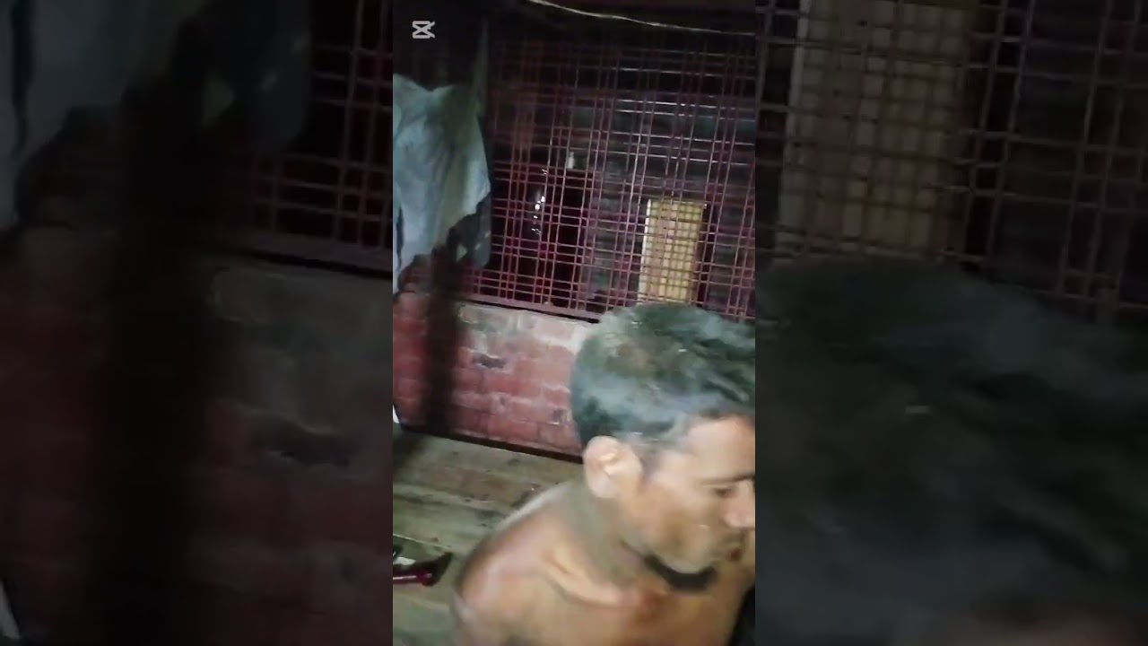 আমার চাচার বেটা ভাই আমার বড় ভাই