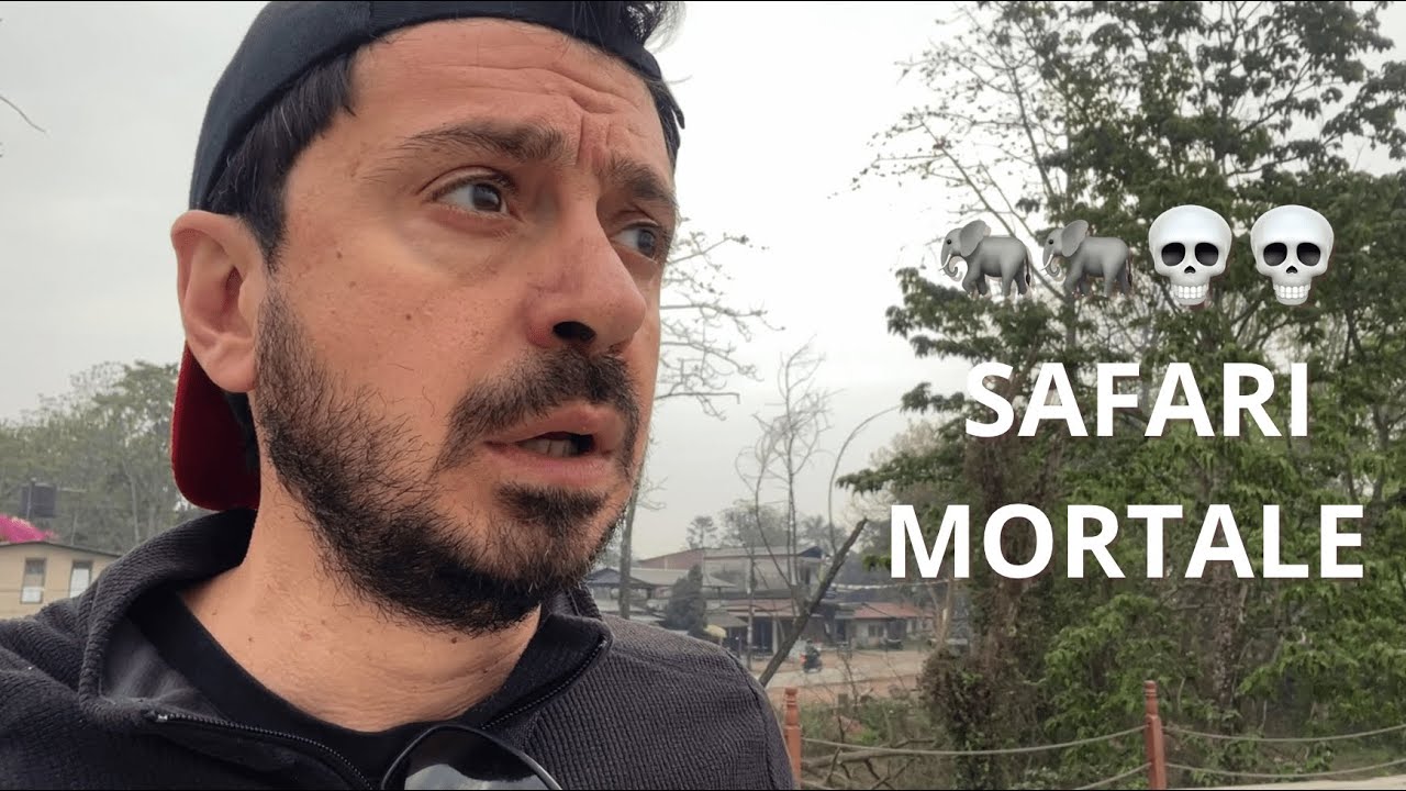 Il SAFARI 🐘 dove si rischia anche la MORTE 💀