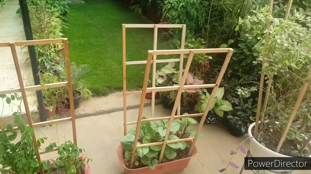 Making Trellis for vines & creepers eg Aprajita //For  round & rectangular pots//Sturdy and strong