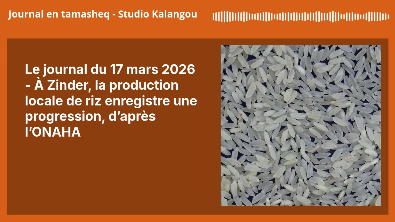 Le journal du 17 mars 2026 - À Zinder, la production locale de riz enregistre une progression,...