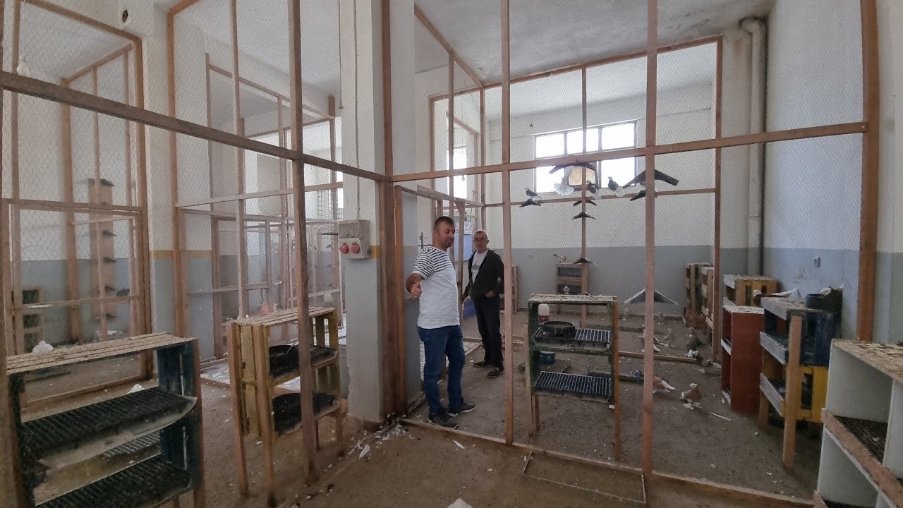 GEMLİKLİ ÖZKAN AMCANIN EFSANE ALA VE KOSTÜM KUŞLARI  ÜRETİM DEDİĞİNİZ BÖYLE OLMALI