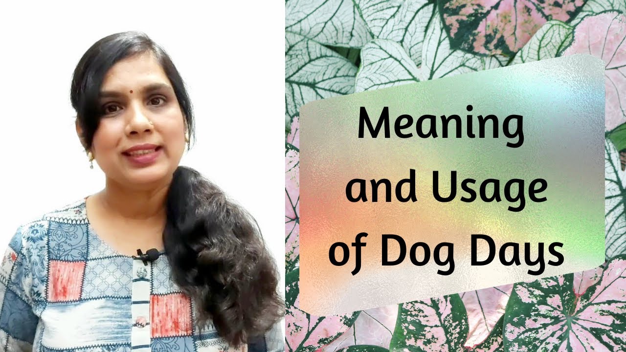 Dog Days | Meaning and Usage | English Idioms