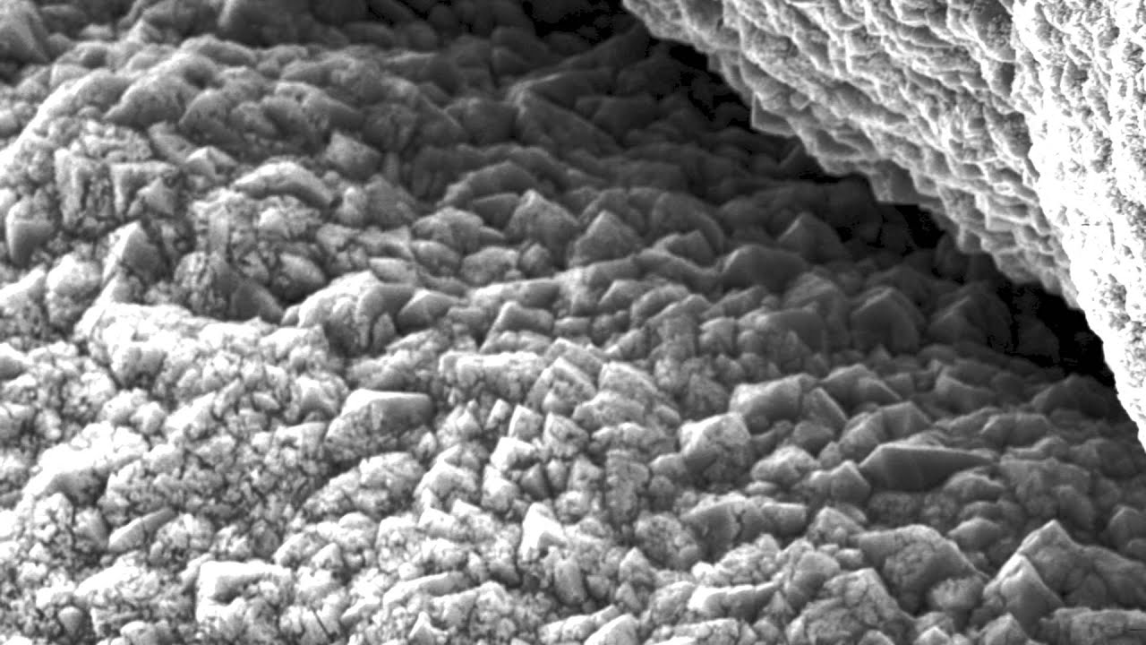 Scanning Electron Microscope (SEM) Images of PbO2 Electrode