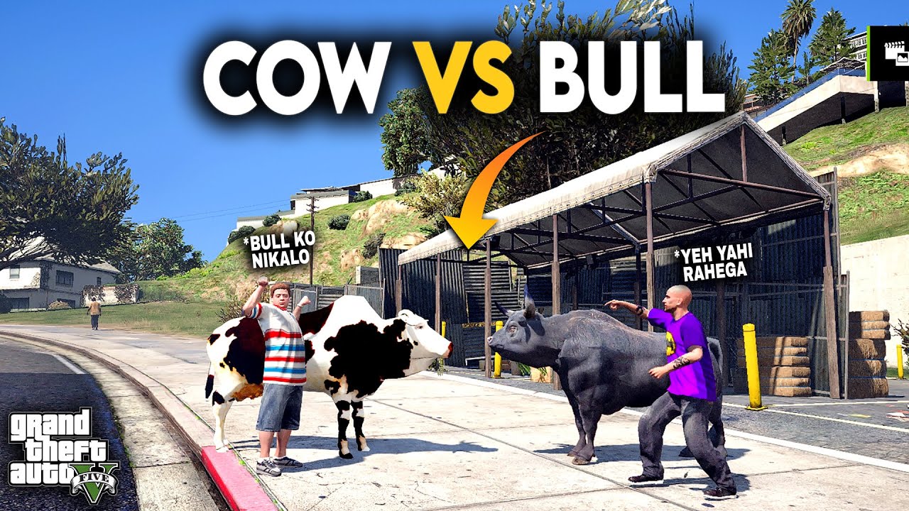 JIMMY KI COW VS SAQIB KA BULL - (Mandi Series S04) - GTA 5 Mods