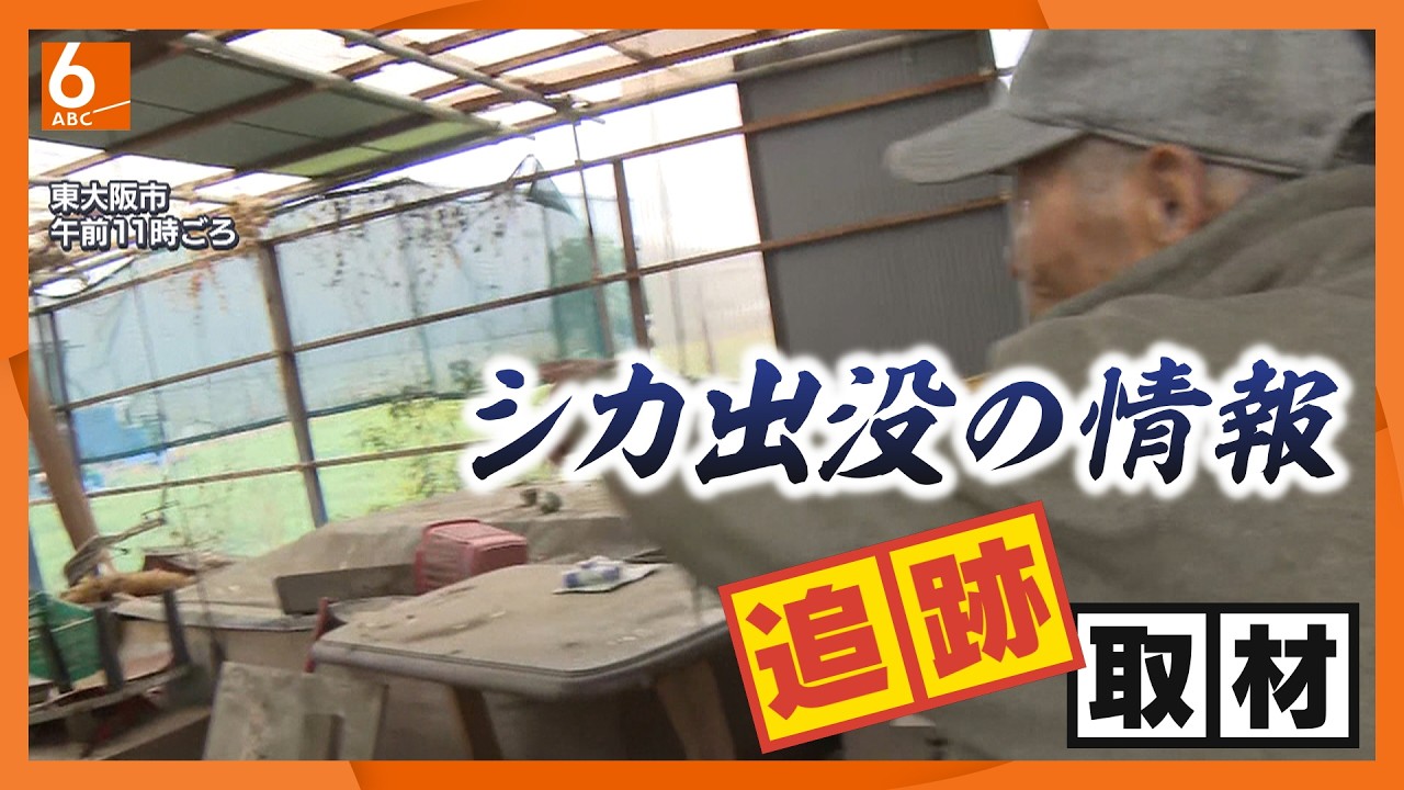 カメラも“シッカり”とらえた！！　東大阪市にシカあらわれる　奈良公園から越境？　生駒山系にはシカの生息はなく…「野生」のため保護・捕獲できず東大阪市は「シカを見かけても近づかず決してエサを与えないで」