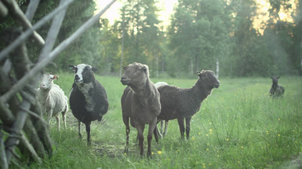 Guesthouse Puukarin Pysäkki