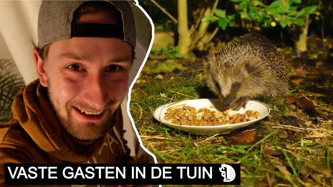 #234: Egel-avonturen in de tuin 🦔! | Sony ZV-1